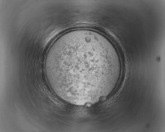 X0000116111259200912071315