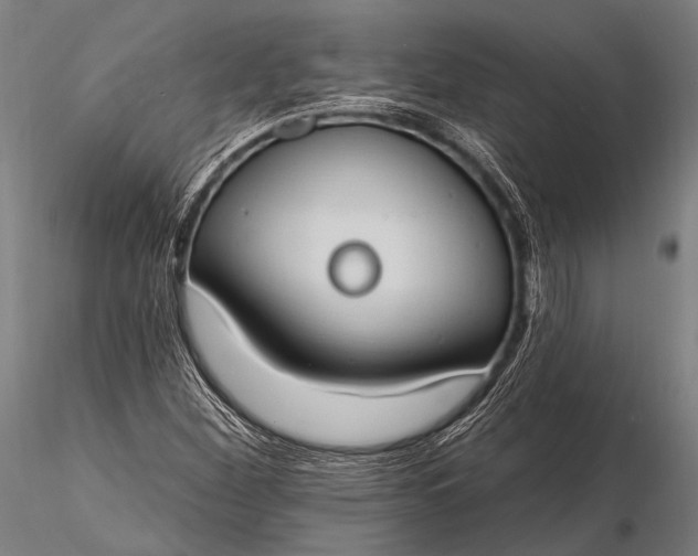 X0000116111260200912071315