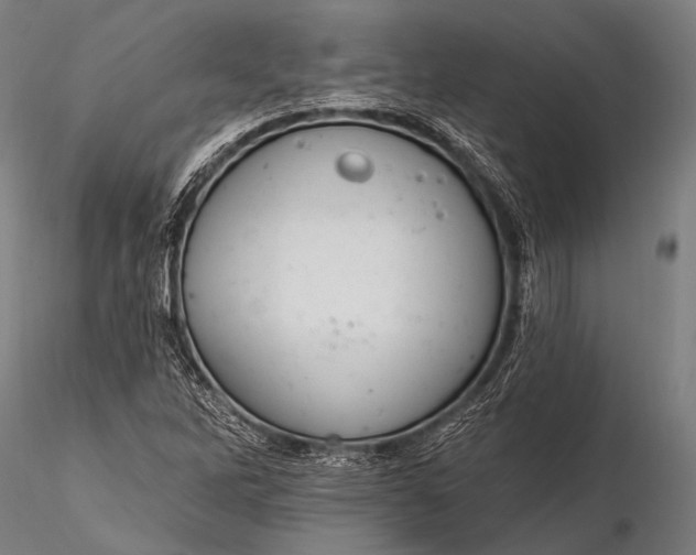 X0000116111262200912071315