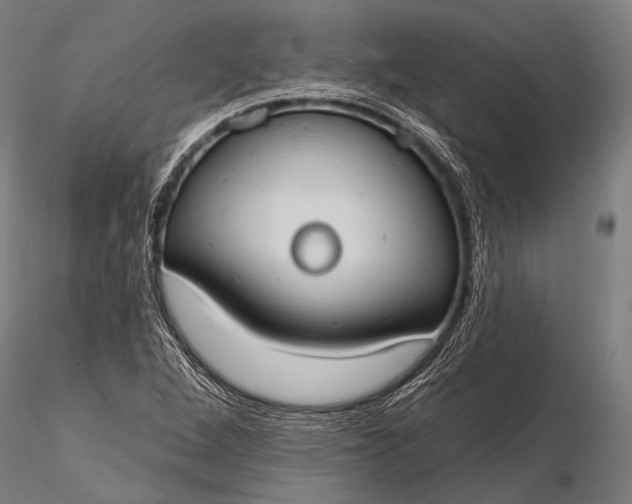 X0000116111264200912071314