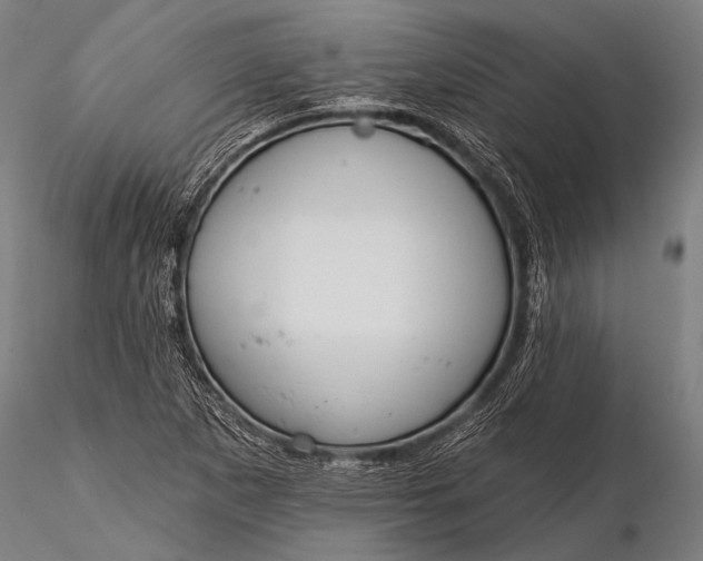 X0000116111265200912071314