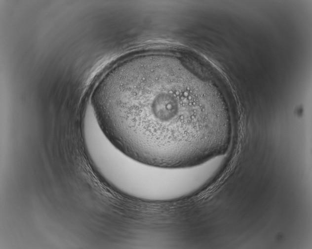 X0000116111267200912071314