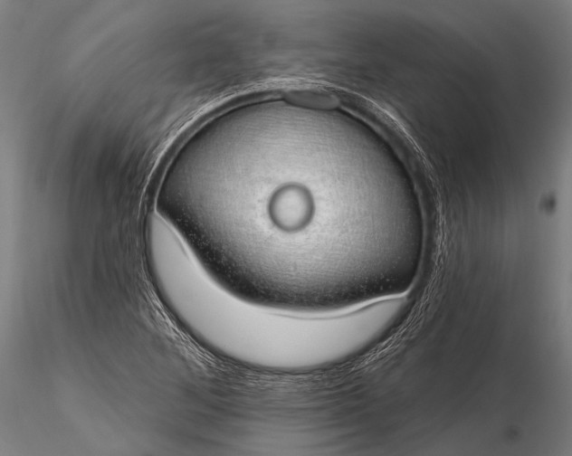 X0000116111268200912071314