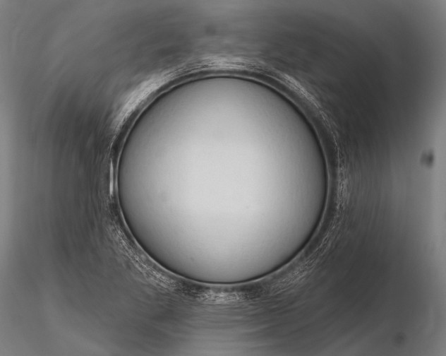 X0000116111269200912071314