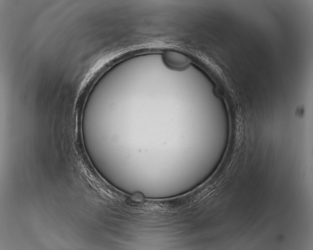 X0000116111270200912071314