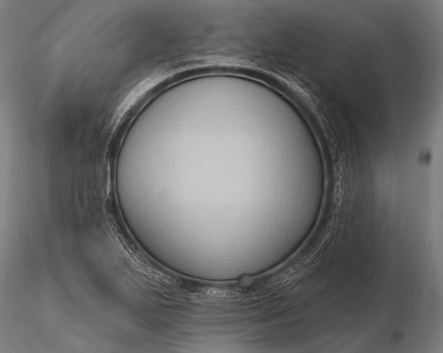 X0000116111271200912071314