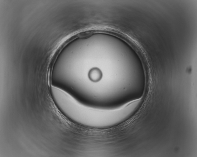 X0000116111272200912071314