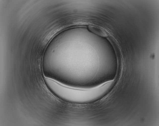 X0000116111273200912071314