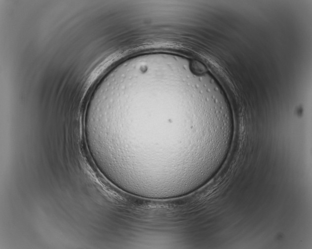 X0000116111274200912071314