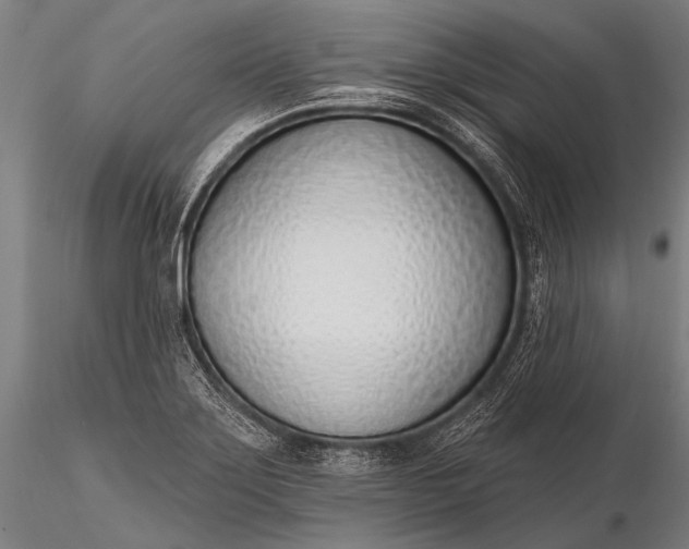 X0000116111275200912071314