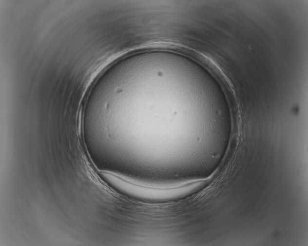 X0000116111276200912071314