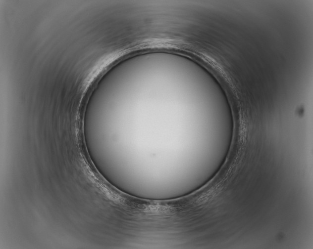 X0000116111277200912071314