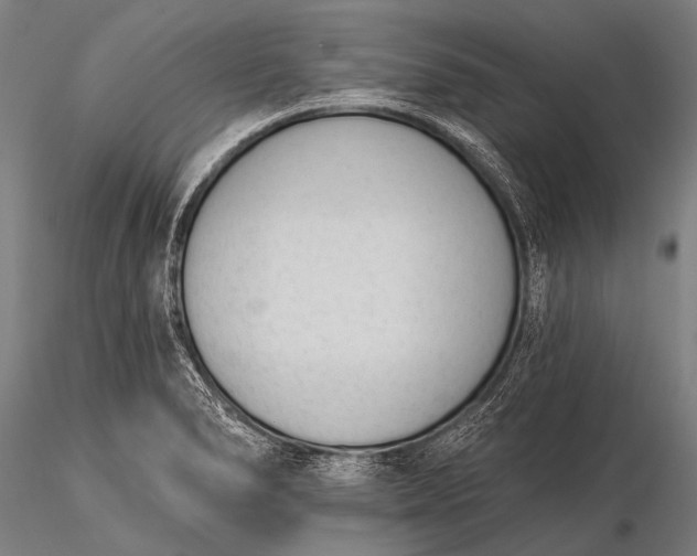 X0000116111278200912071314