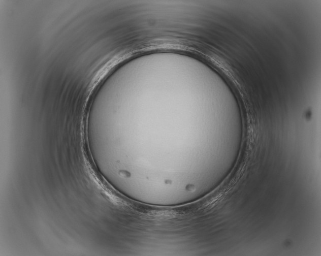 X0000116111282200912071314