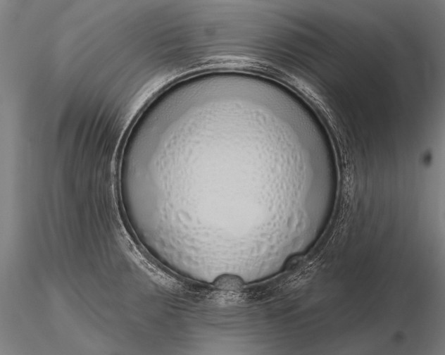 X0000116111283200912071314