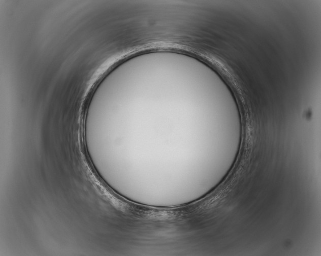 X0000116111286200912071314