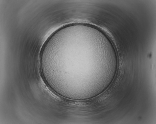 X0000116111287200912071314