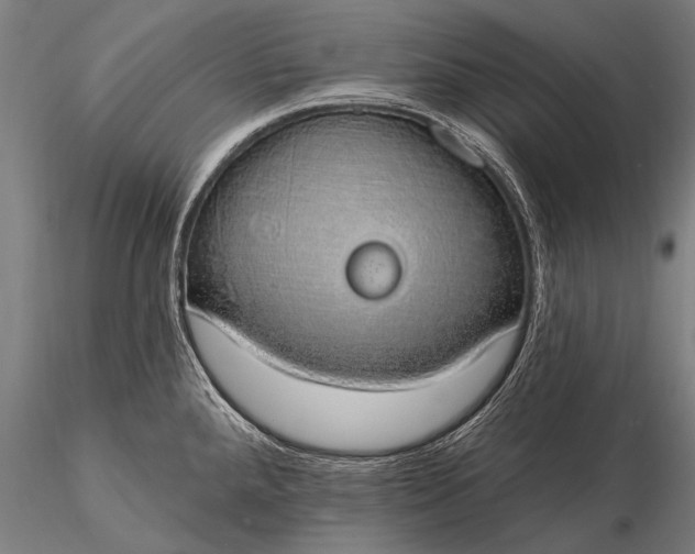 X0000116111288200912071314