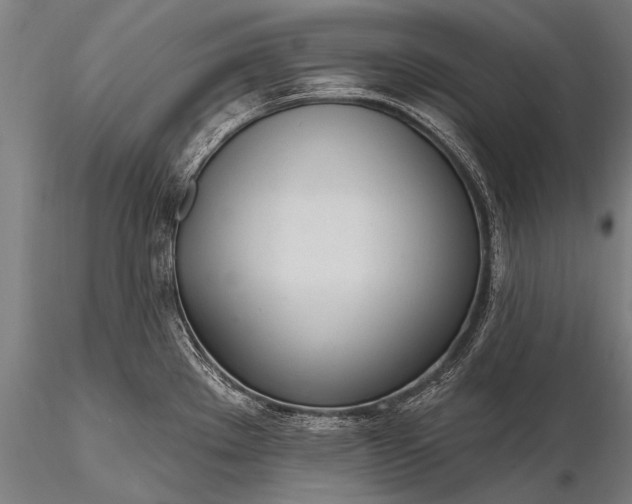 X0000116111289200912071314