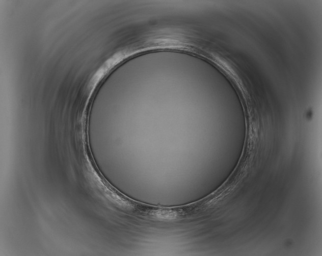 X0000116111291200912071314