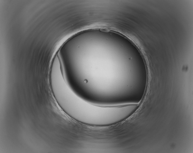 X0000116111296200912071314