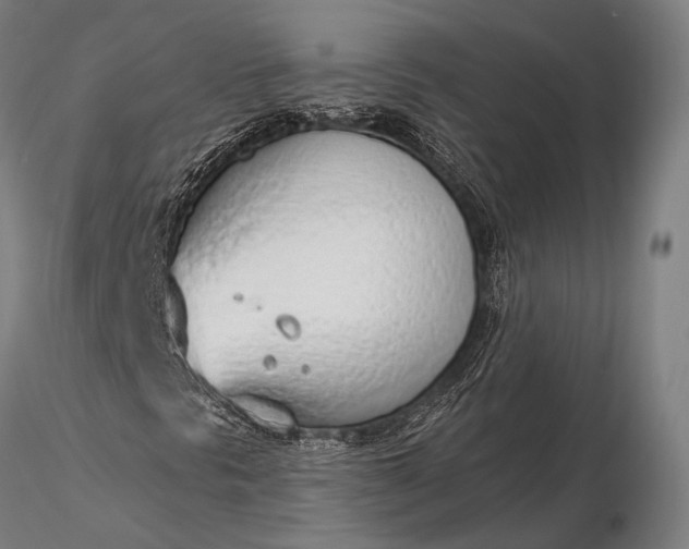 X0000116111297200912071313