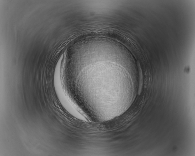 X0000116111298200912071313