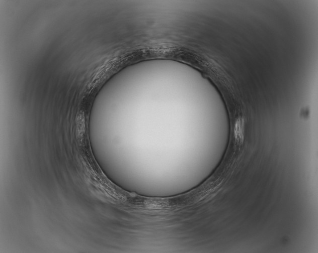 X0000116111299200912071313