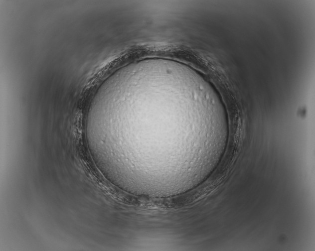 X0000116111301200912071313