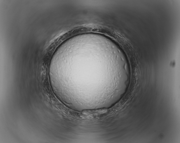 X0000116111302200912071313