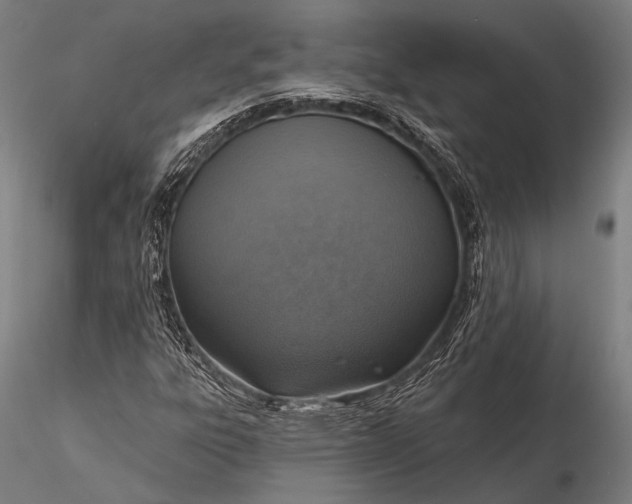 X0000116111303200912071313