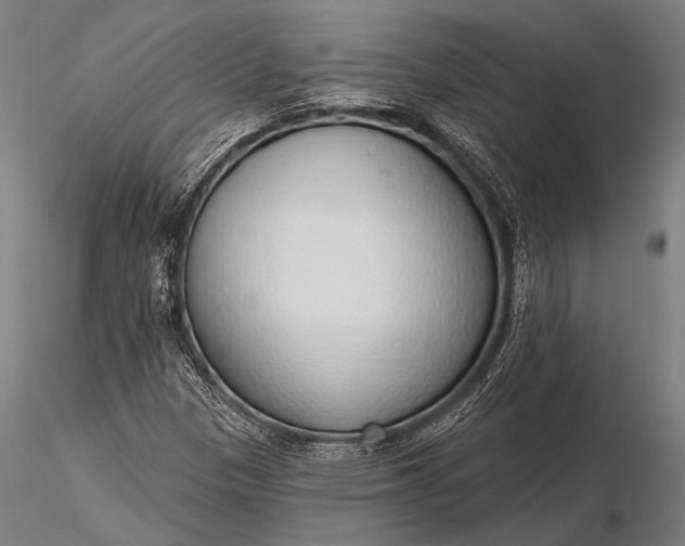 X0000116111305200912071313