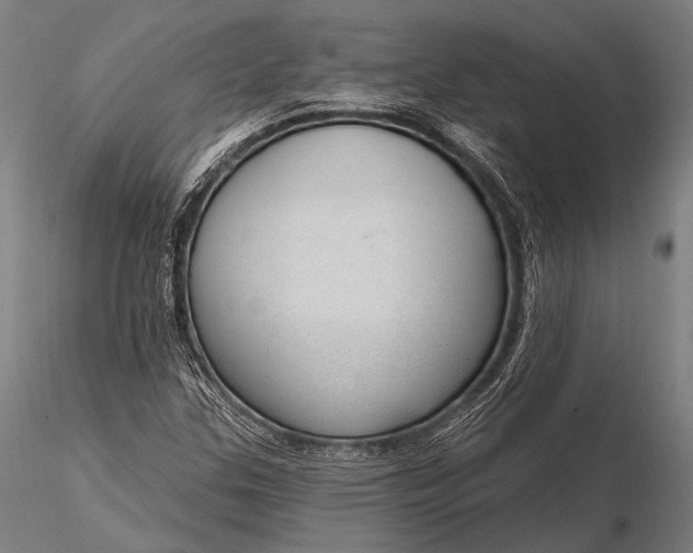 X0000116111307200912071314