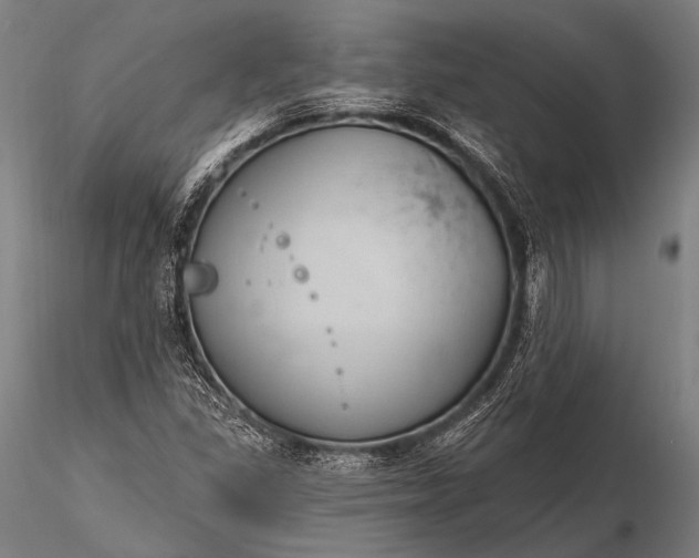 X0000116111309200912071314