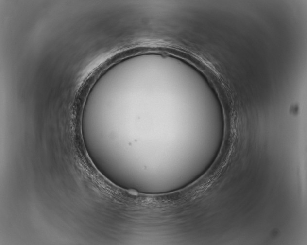 X0000116111311200912071314