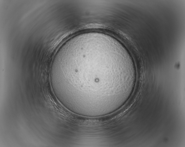 X0000116111313200912071314