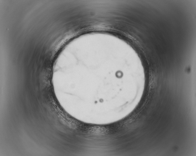 X0000116111314200912071314