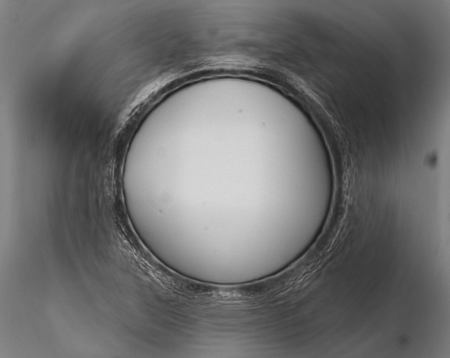 X0000116111315200912071314