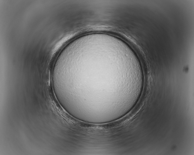 X0000116111317200912071314