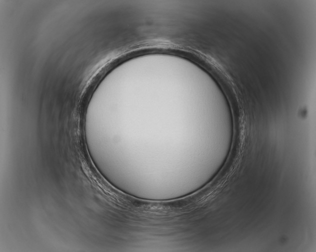 X0000116111318200912071314