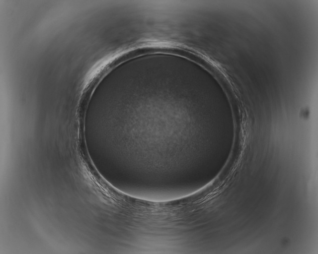 X0000116111319200912071314