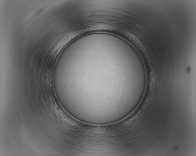 X0000116111321200912071314