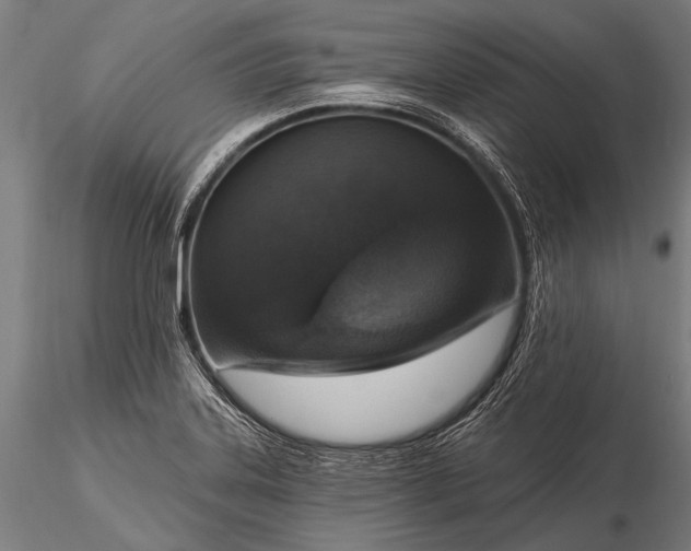 X0000116111323200912071314