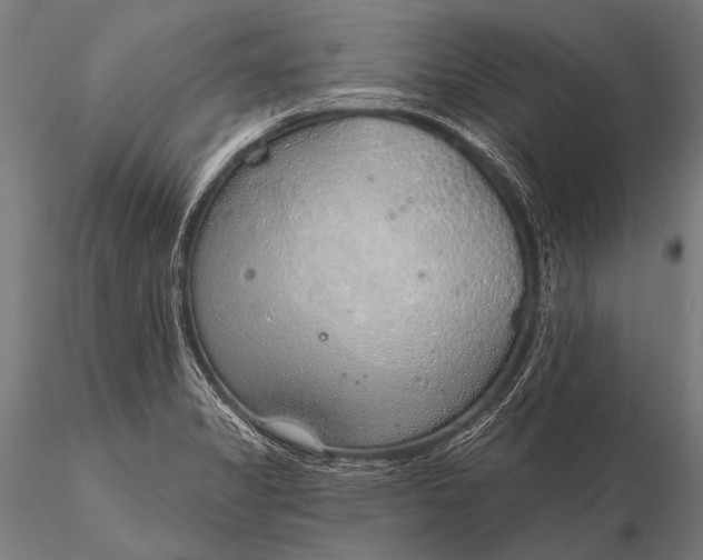 X0000116111325200912071314