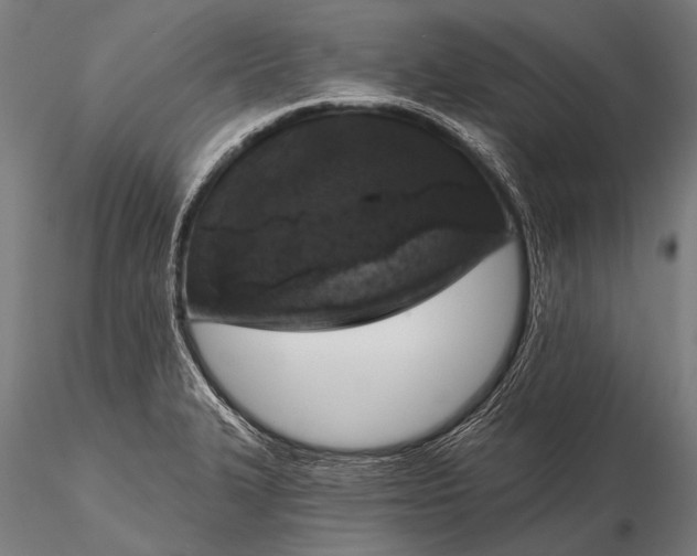 X0000116111327200912071314