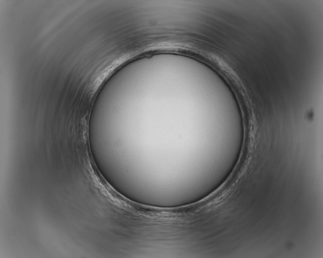 X0000116111329200912071314