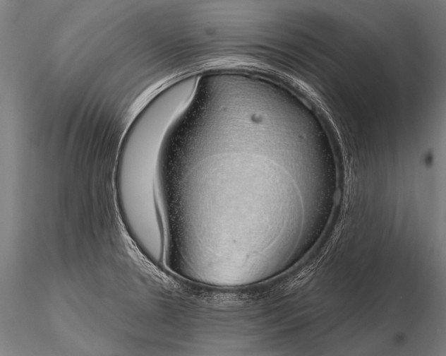 X0000116111330200912071314