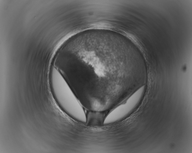 X0000116111331200912071314