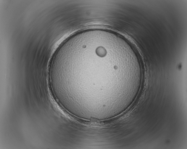 X0000116111333200912071314