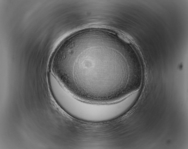 X0000116111334200912071314